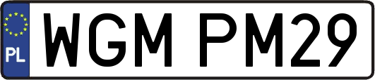 WGMPM29