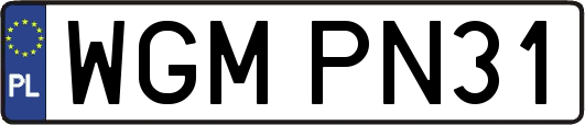 WGMPN31