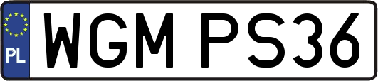 WGMPS36