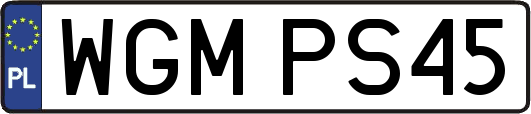 WGMPS45