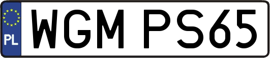 WGMPS65