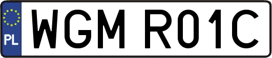 WGMR01C