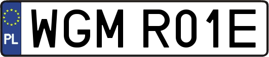 WGMR01E