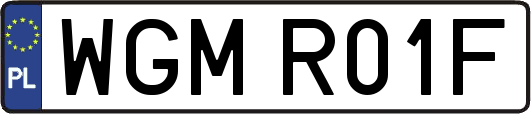 WGMR01F