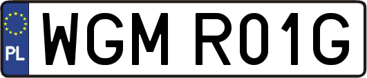 WGMR01G