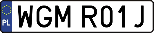 WGMR01J