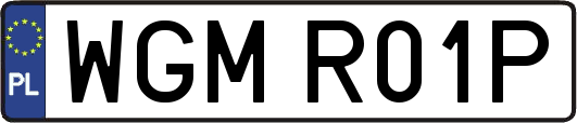 WGMR01P
