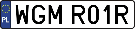 WGMR01R