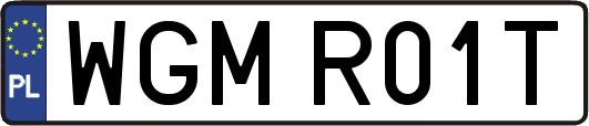 WGMR01T