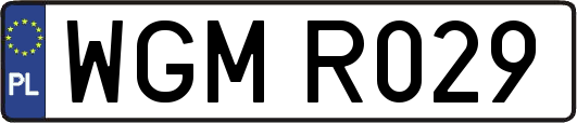 WGMR029