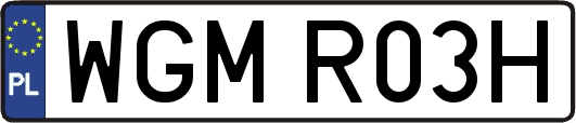 WGMR03H