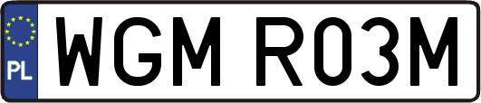 WGMR03M