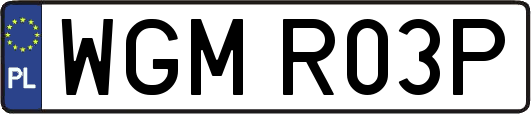 WGMR03P
