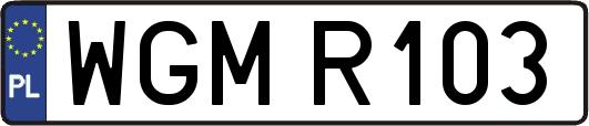 WGMR103
