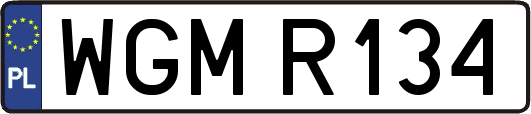 WGMR134