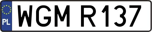 WGMR137