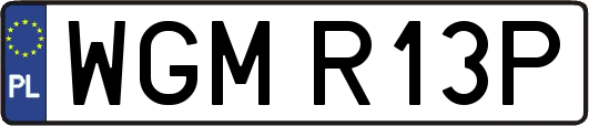 WGMR13P