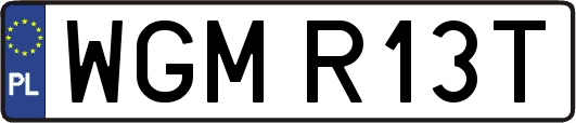 WGMR13T