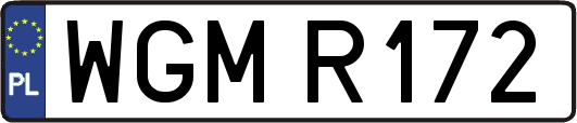 WGMR172