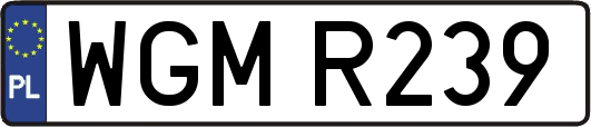 WGMR239