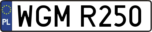 WGMR250