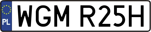 WGMR25H