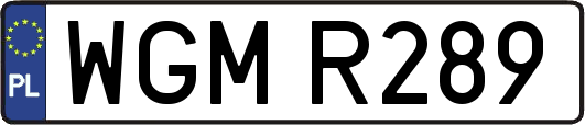 WGMR289