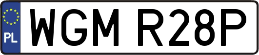 WGMR28P