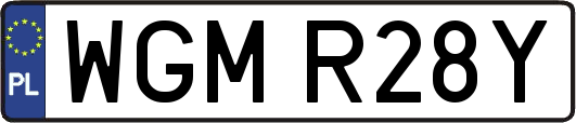 WGMR28Y