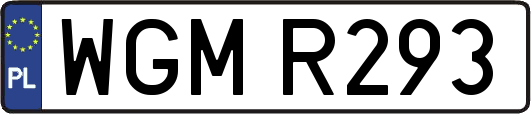 WGMR293
