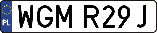 WGMR29J