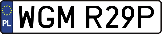WGMR29P