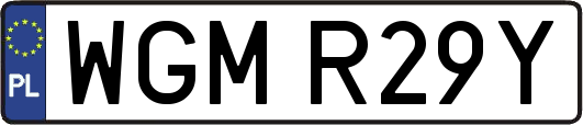 WGMR29Y
