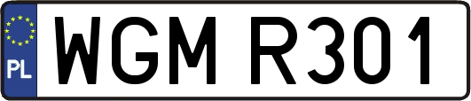 WGMR301
