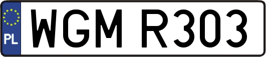 WGMR303