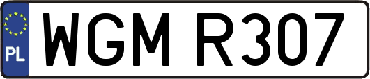 WGMR307