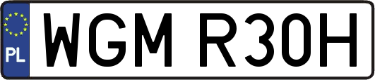 WGMR30H