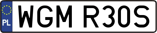 WGMR30S