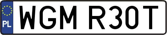 WGMR30T