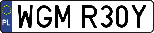 WGMR30Y