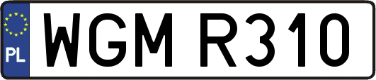 WGMR310
