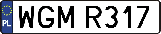 WGMR317