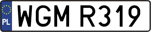 WGMR319
