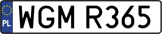 WGMR365