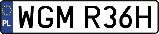 WGMR36H