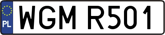 WGMR501