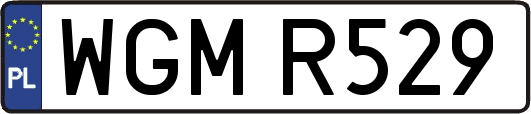 WGMR529