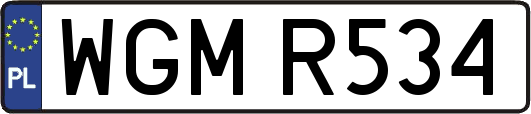 WGMR534