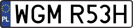 WGMR53H