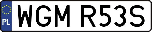 WGMR53S